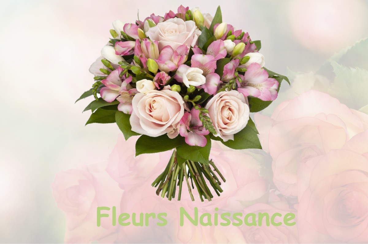 fleurs naissance BEUREY-SUR-SAULX